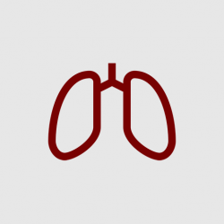 Respiratory